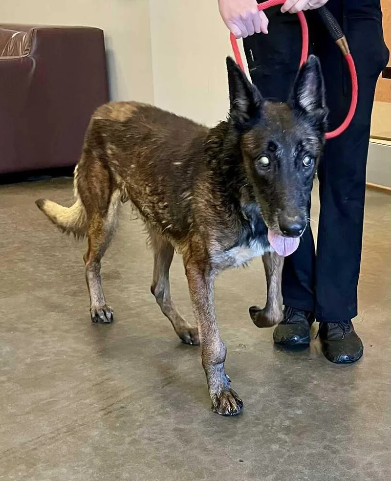 Charlie  Located In thumbnail 3