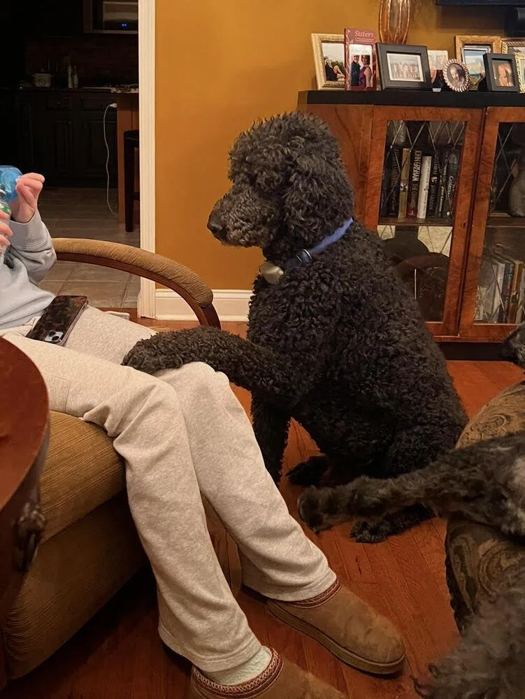 Sampson thumbnail 2