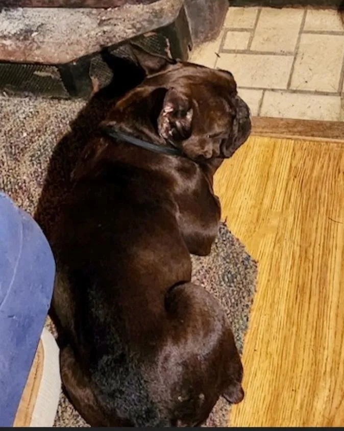 Penelope thumbnail 4