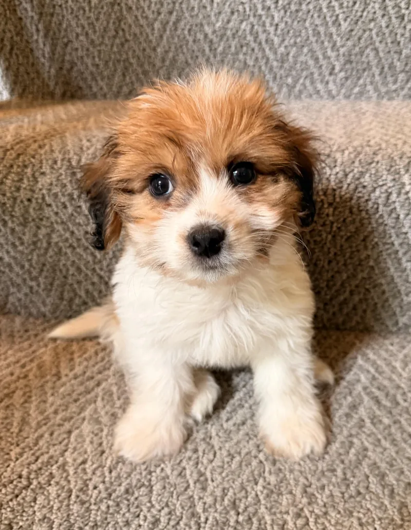 Winnie