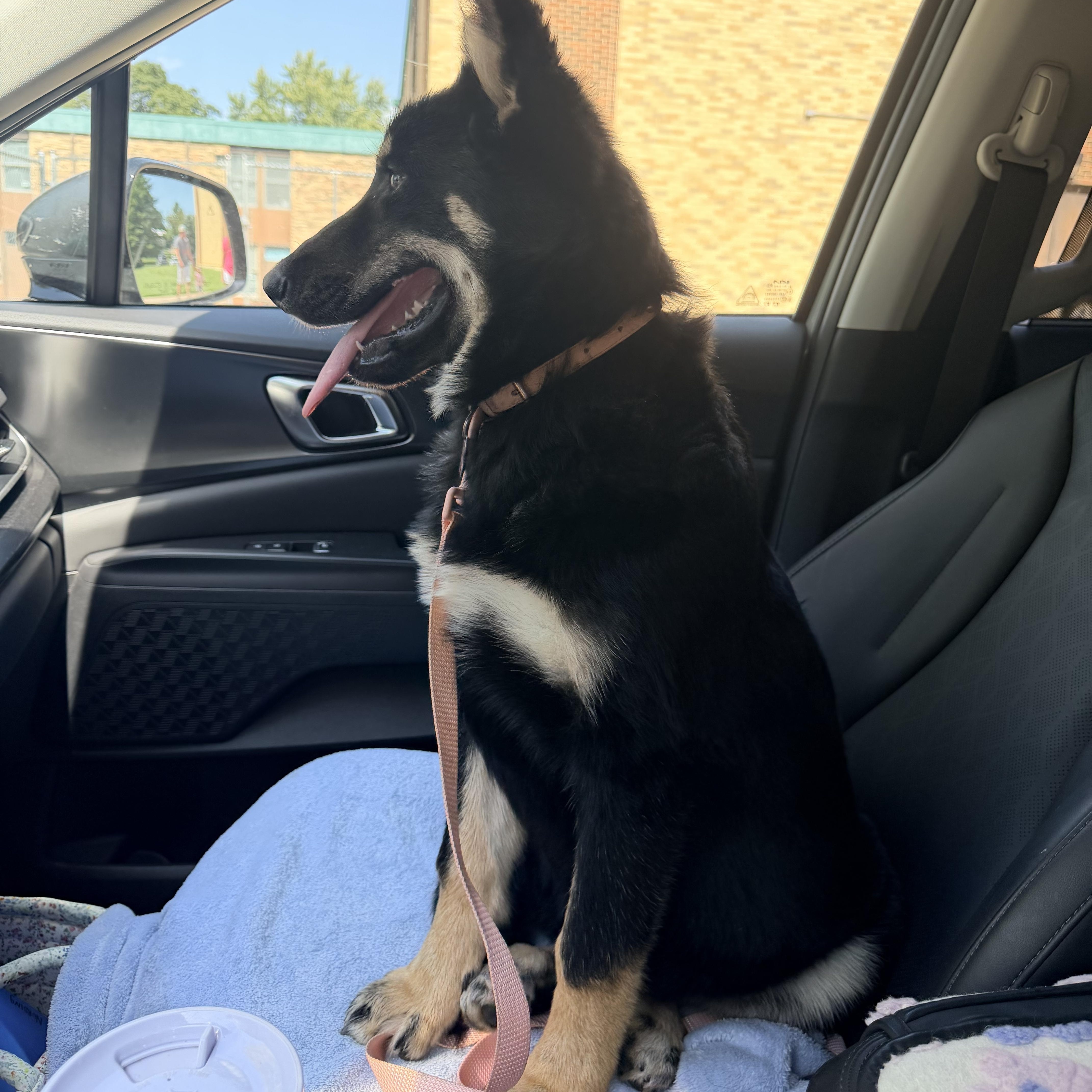 Zoey thumbnail 3