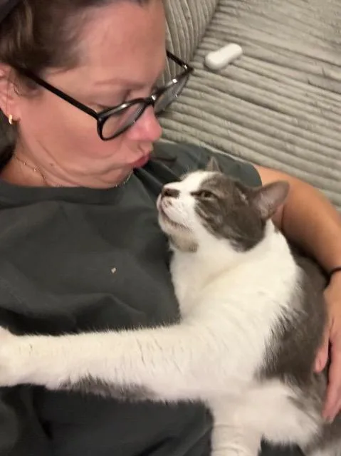 Felix thumbnail 3