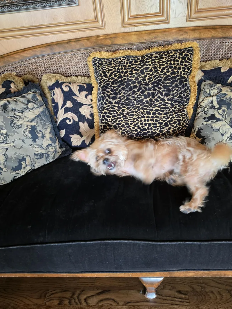 Peaches thumbnail 5
