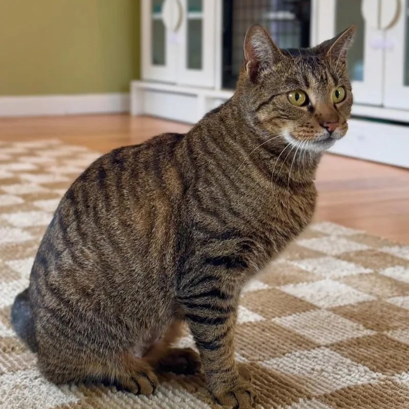 Christina thumbnail 2