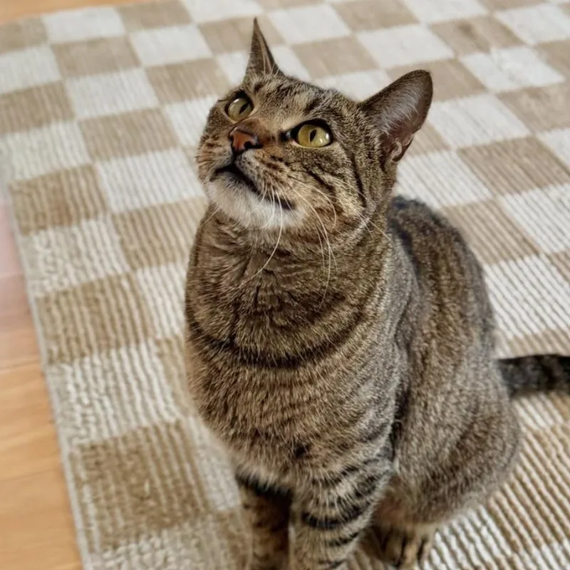 Christina thumbnail 3