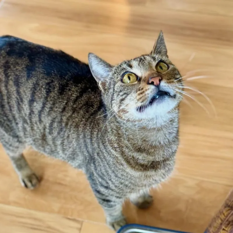 Christina thumbnail 4