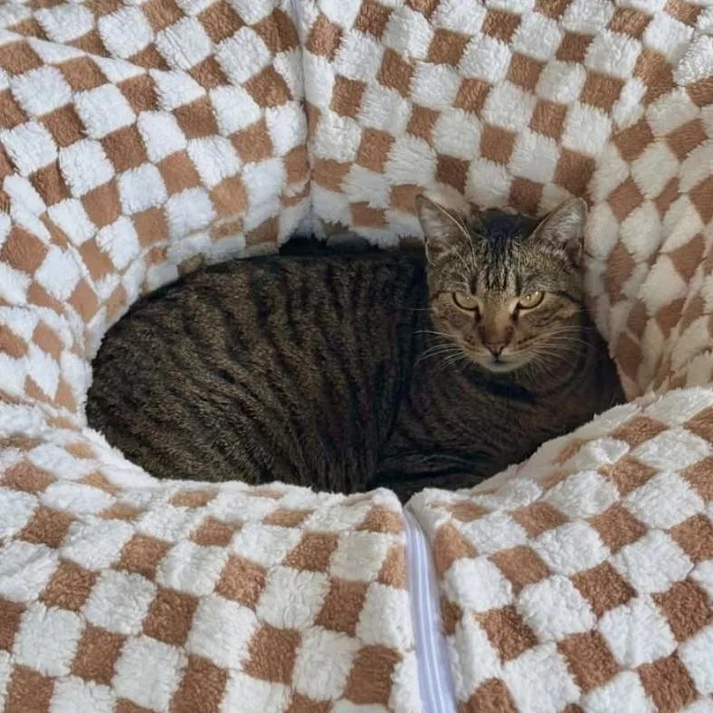 Christina thumbnail 5