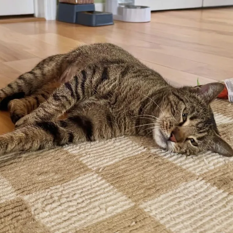 Christina thumbnail 6