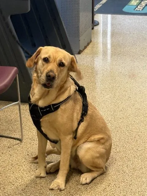 Maxine