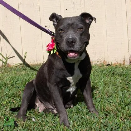 Helen Jean thumbnail 2