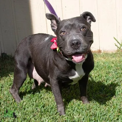 Helen Jean thumbnail 3