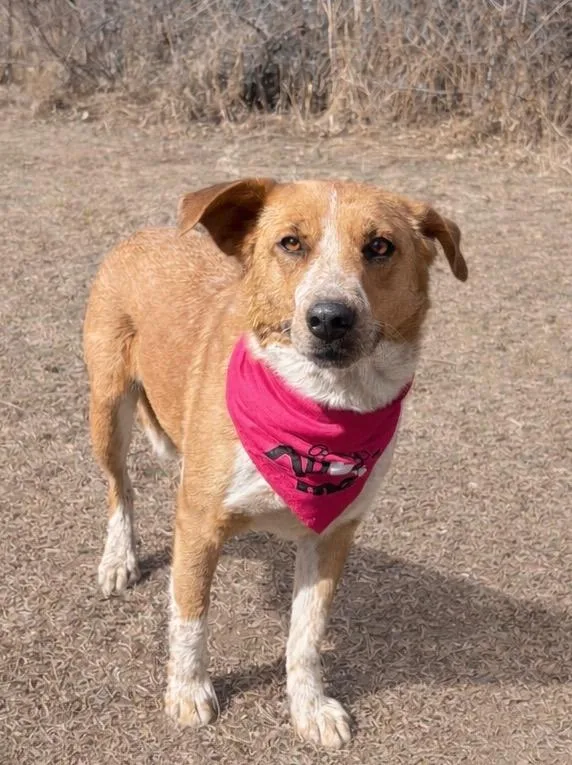 Cala Rossa thumbnail 2