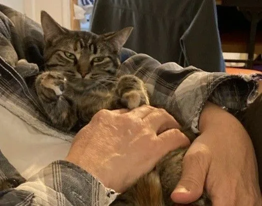 Crystal Susie thumbnail 5