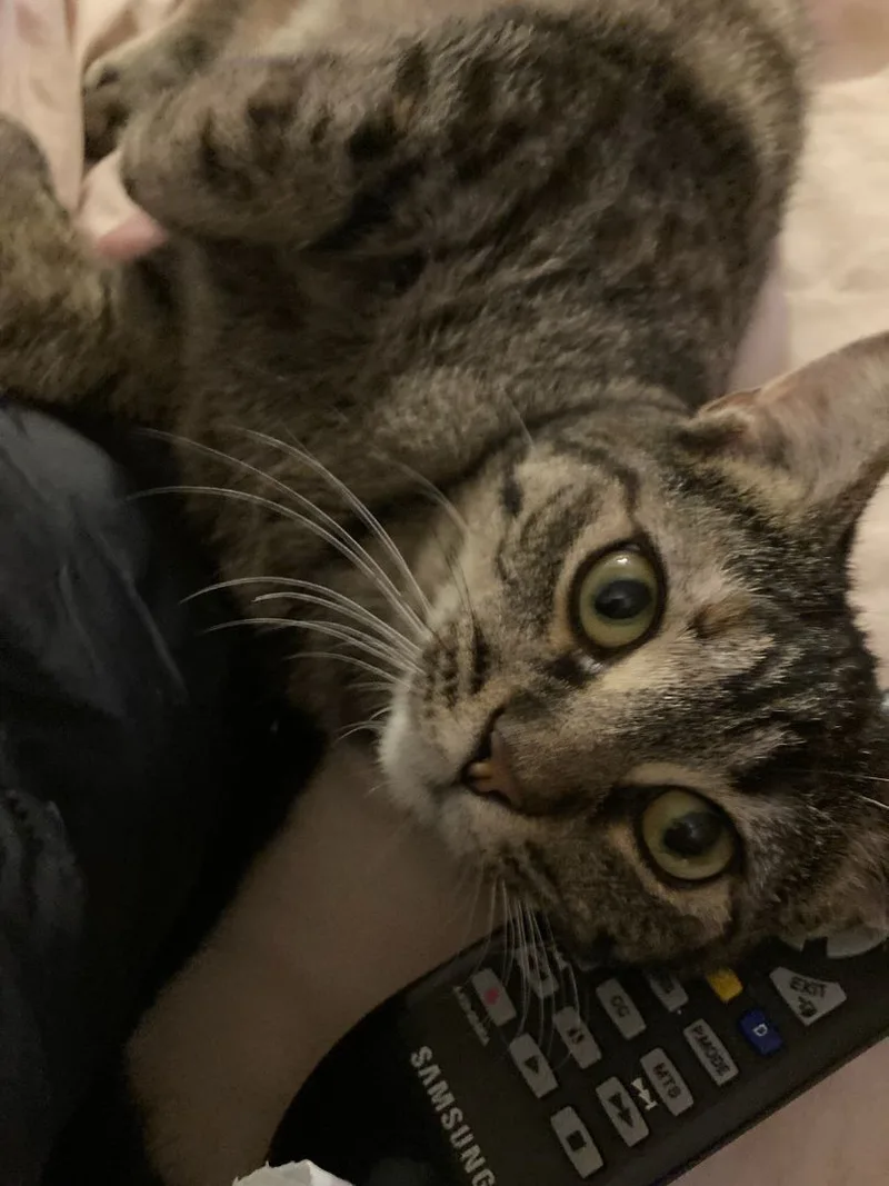 Crystal Susie thumbnail 6