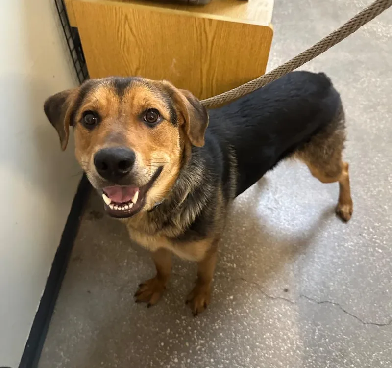 Cinder Block thumbnail 2