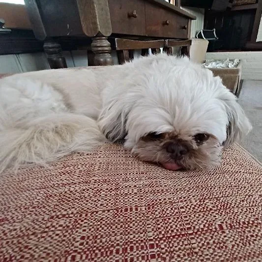 Tuffy