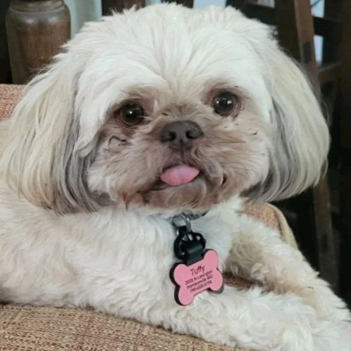 Tuffy thumbnail 3