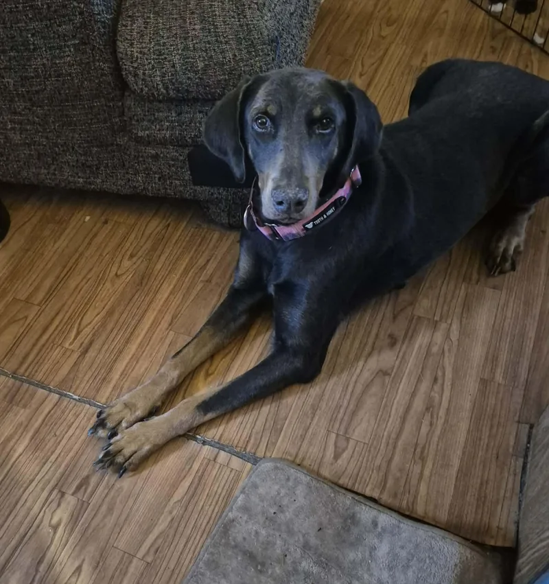 Jolene Aka Josie thumbnail 2