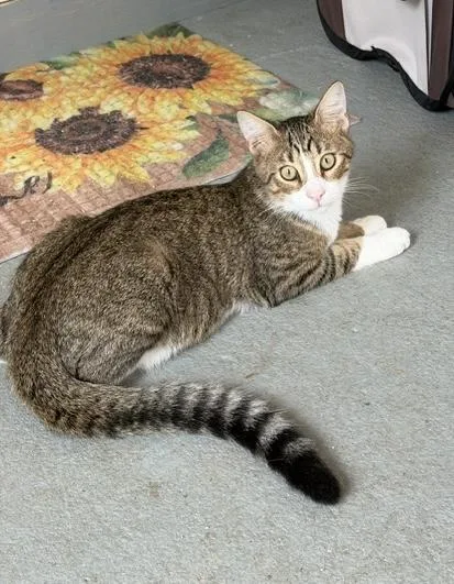 Max Riley Fuzzell Petsmart thumbnail 2