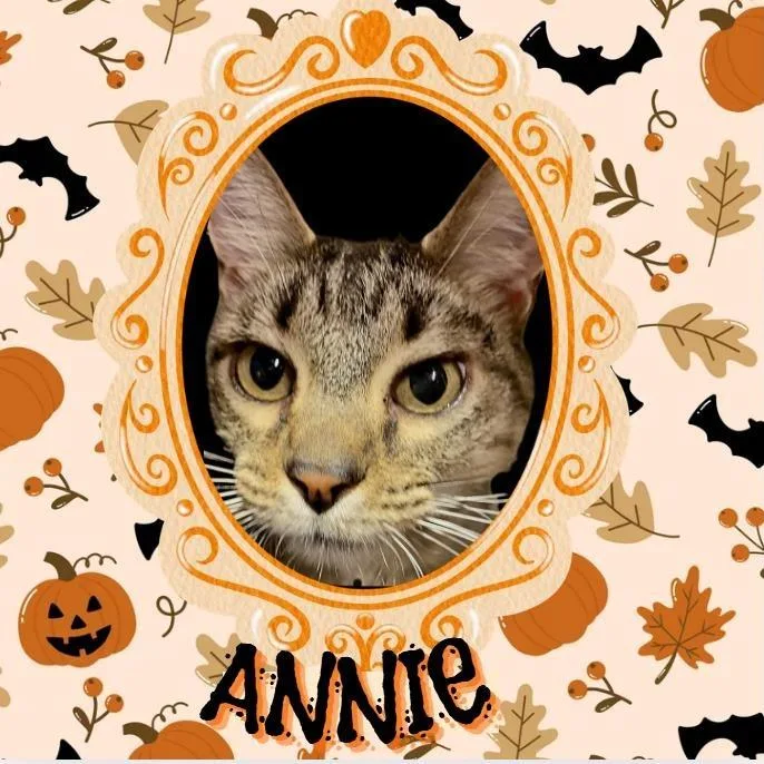 Annie thumbnail 4