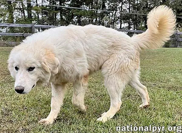 Clarence In Oh  thumbnail 2