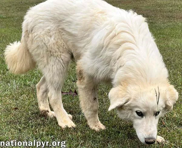 Clarence In Oh  thumbnail 3