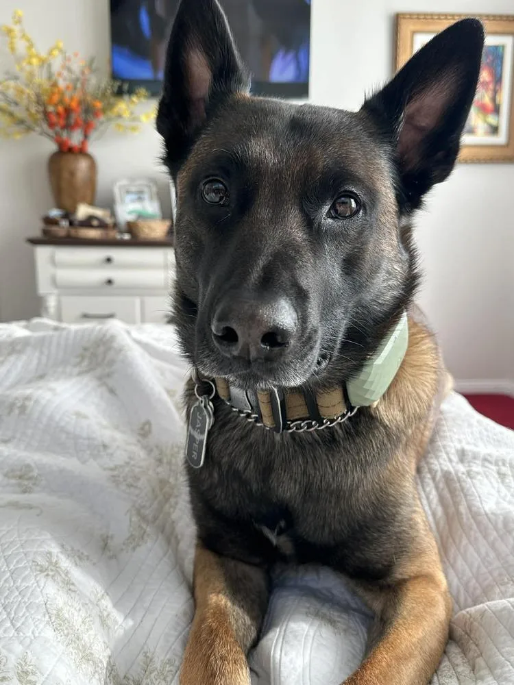 Jasper  Located In thumbnail 2