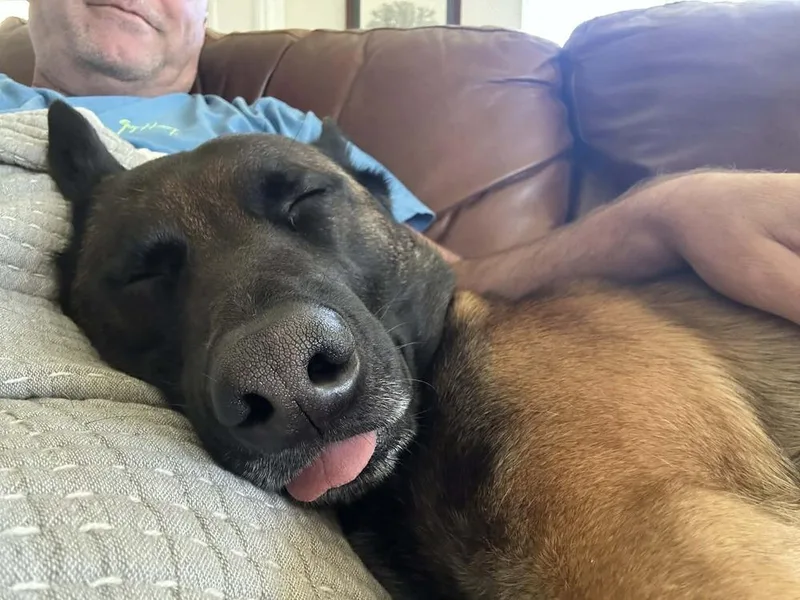 Jasper  Located In thumbnail 5