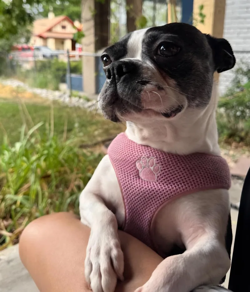 Tiana in CO thumbnail 2