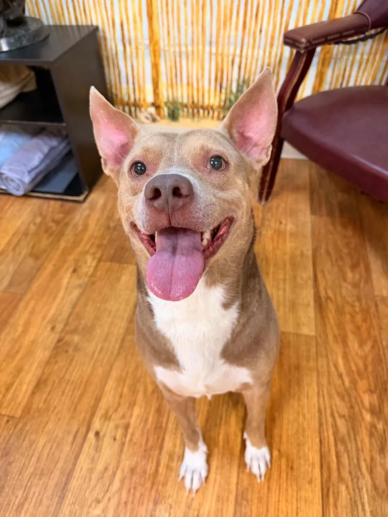 Morgan Wallen thumbnail 2