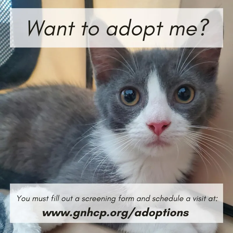 Roy thumbnail 3
