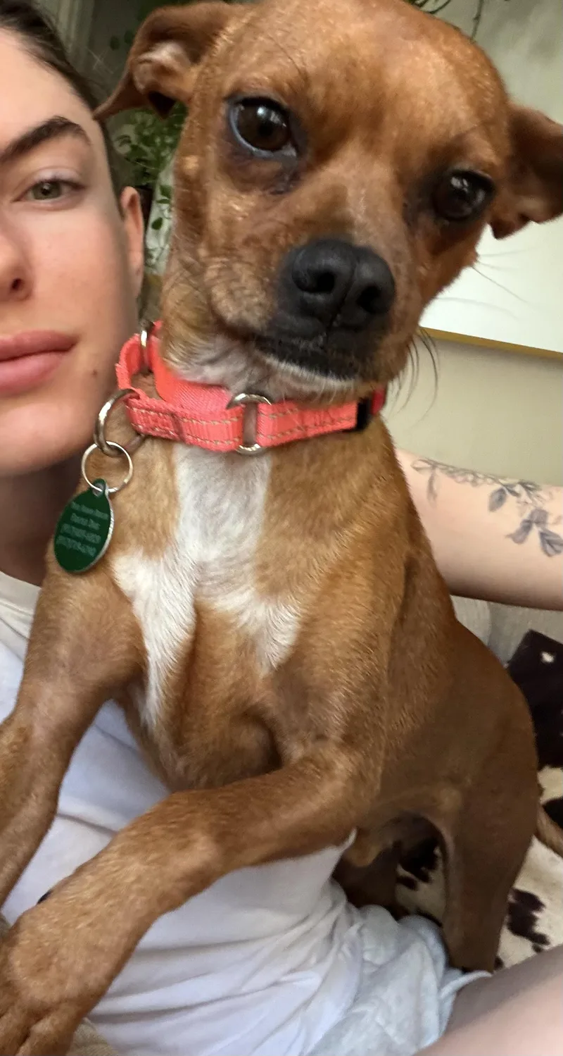 Paco thumbnail 5