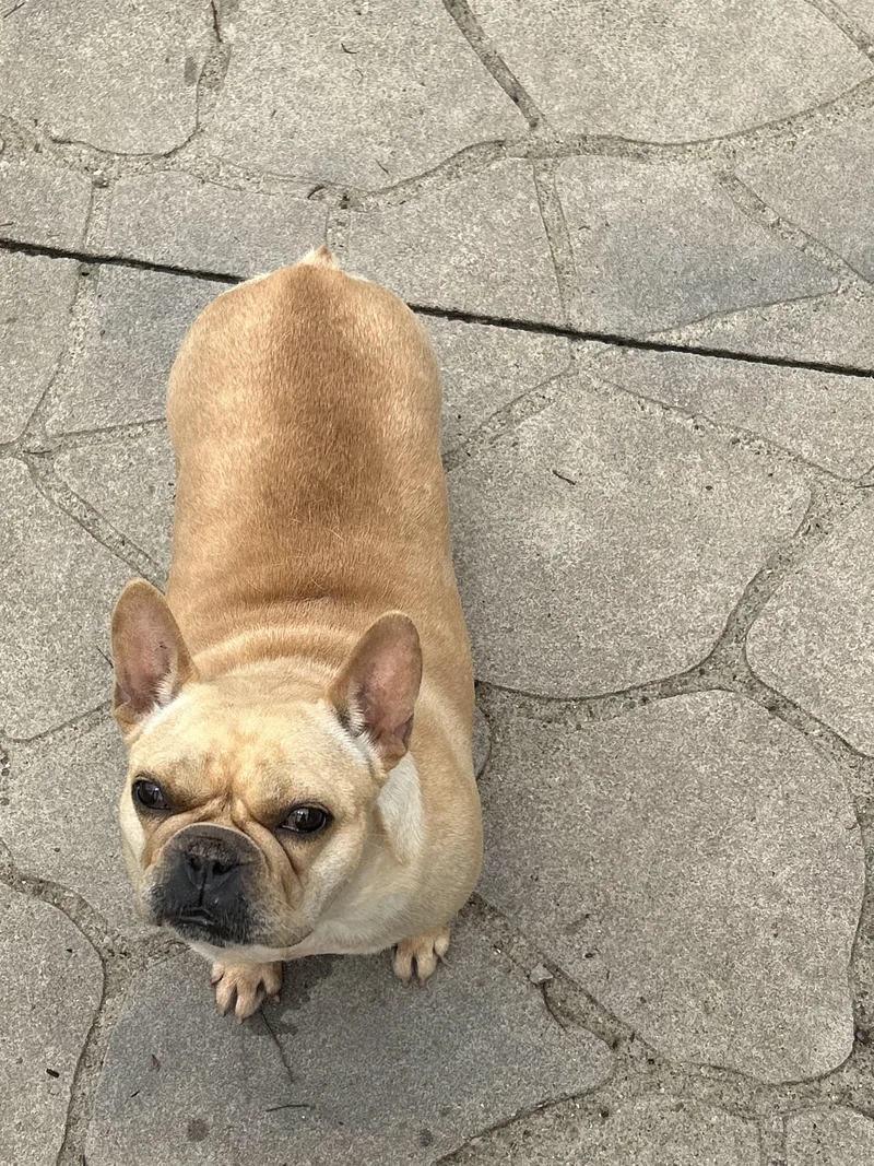 Bella.
