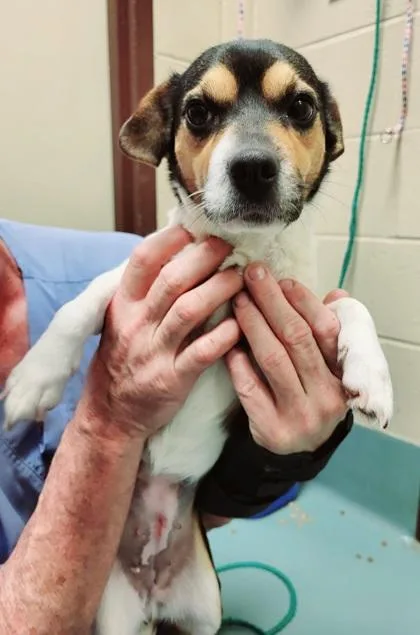 Sweetness thumbnail 2