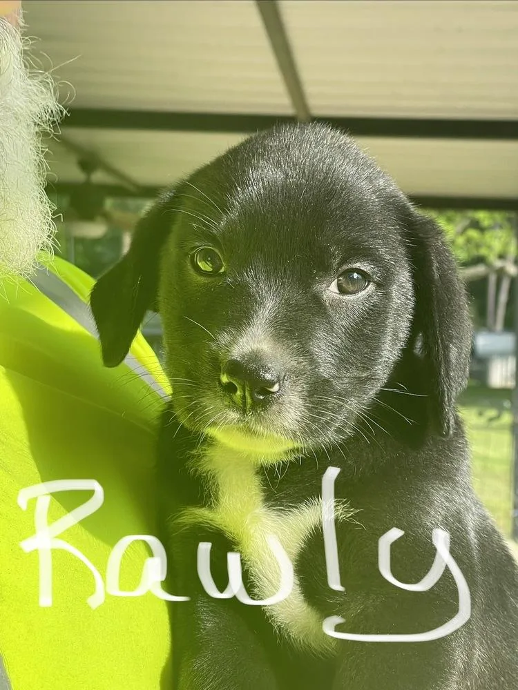 Connauton  Rawly thumbnail 3