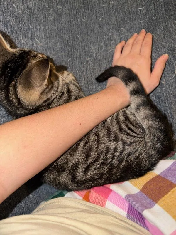 Tiny Tina thumbnail 2