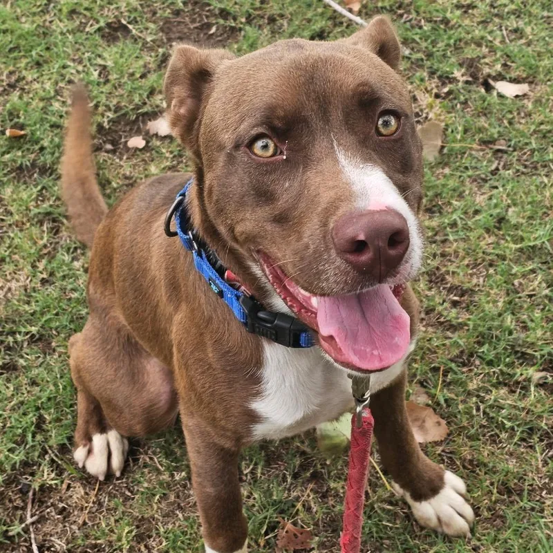 Hamburger thumbnail 2