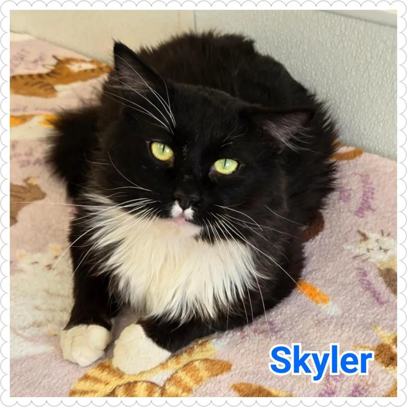 Skyler