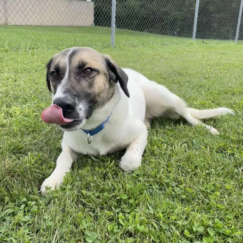 Crumpet thumbnail 3