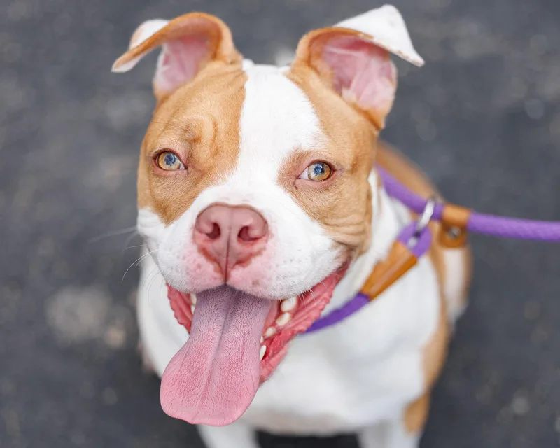 Cheyanne thumbnail 2