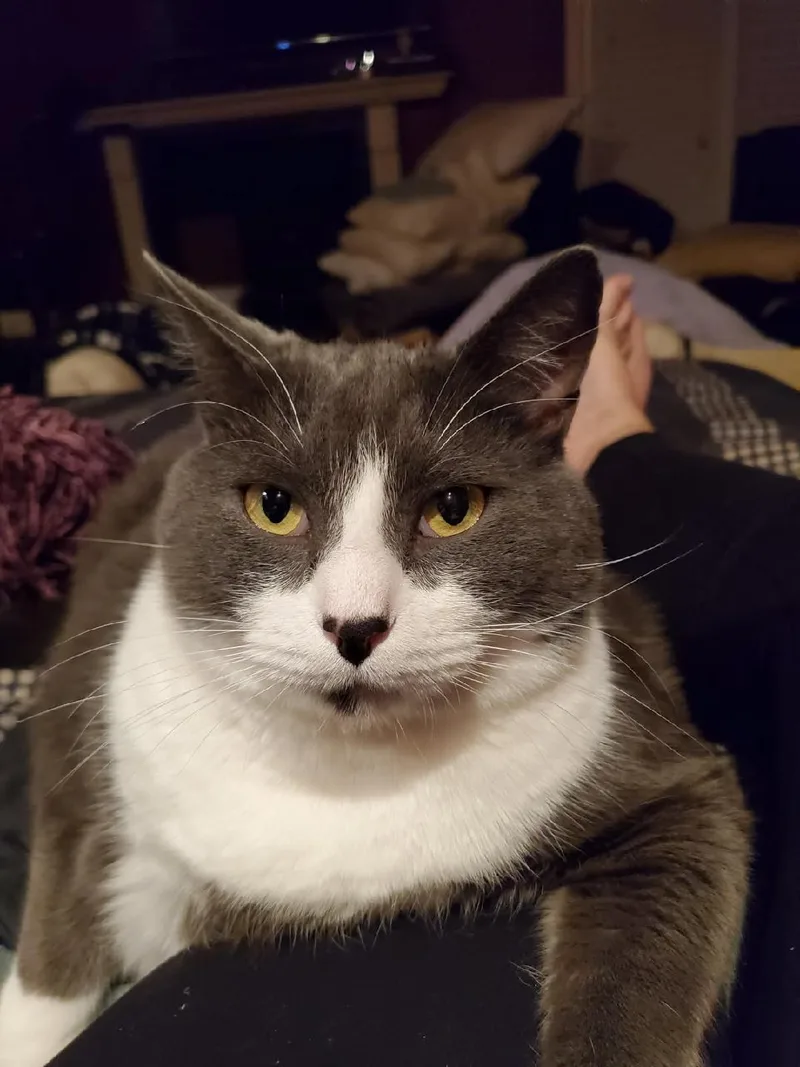 Chloe
