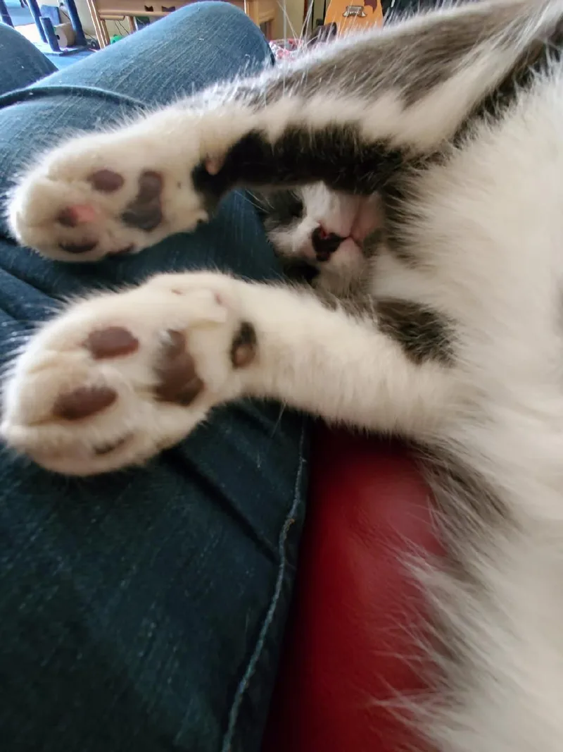 Chloe thumbnail 3