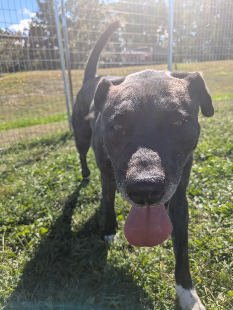 Isabelle thumbnail 2