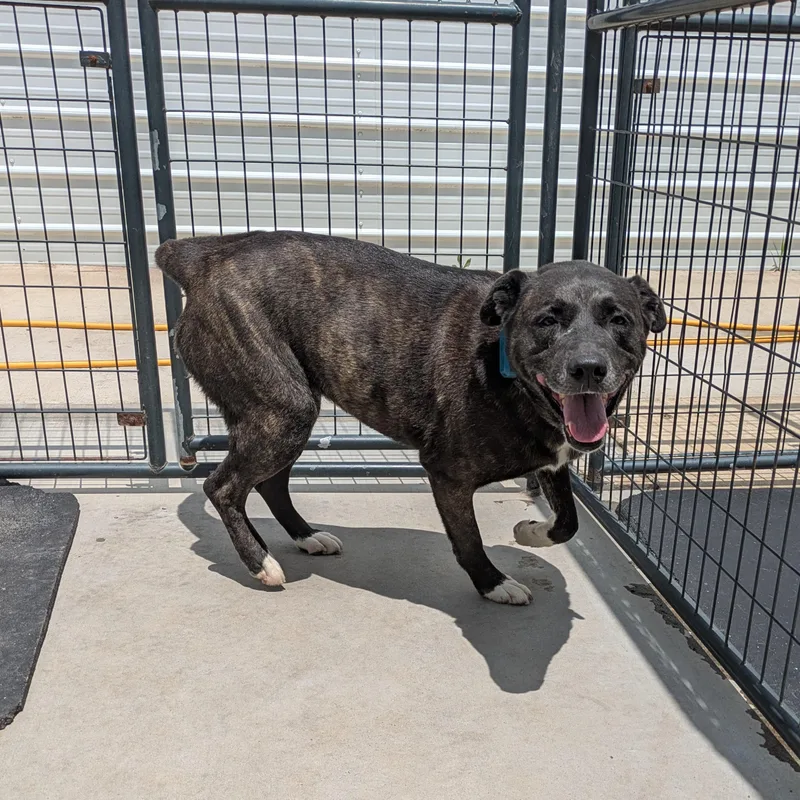 Isabelle thumbnail 4