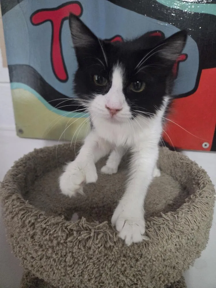 Pepper thumbnail 2