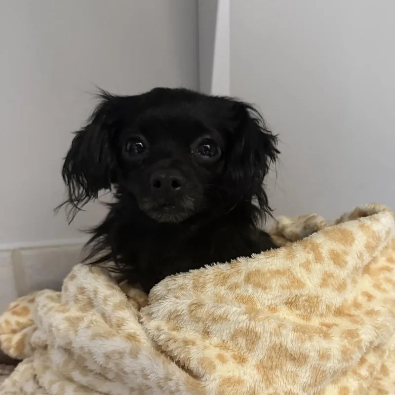Marnie