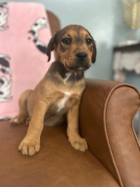 Daleyza Dazzling thumbnail 2