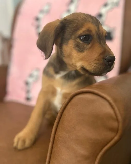 Daleyza Dazzling thumbnail 4