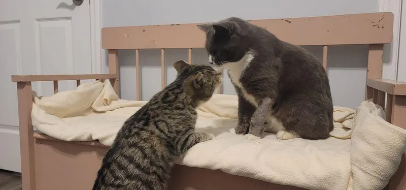 Caroline thumbnail 2