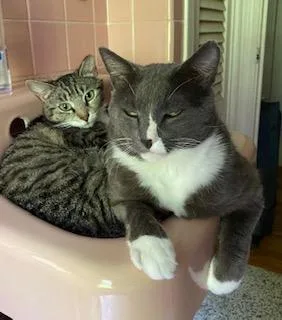 Caroline thumbnail 3